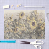 Sonnenblumenfeld Vintag Antike gestresste Textur Seidenpapier (Handwerk)