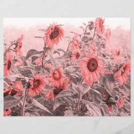 Sonnenblumenfeld Vintag Blush Pink Grau Decoupage