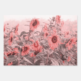 Sonnenblumenfeld Vintag Blush Pink Grau Decoupage Geschenkpapier Set