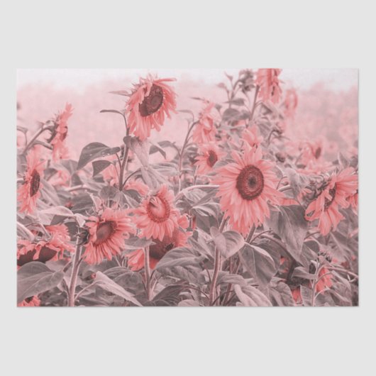 Sonnenblumenfeld Vintag Blush Pink Grau Decoupage Seidenpapier (Vorderseite)