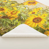 Sonnenblumenfeld Vintag Gelb-Gelb-Landkunst Sherpadecke (3/4)