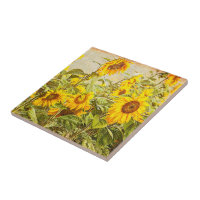 Sonnenblumenfeld Vintag Hellgelbe Landkunst