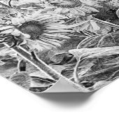 Sonnenblumenfeld Vintag schwarz und weiß Poster (Ecke)