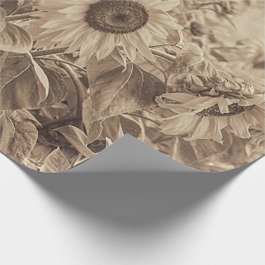 Sonnenblumenfeld Vintag Sepia Tone Decoupage Geschenkpapier (Ecke)
