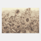 Sonnenblumenfeld Vintag Sepia Tone Decoupage Geschenkpapier Set (Vorderseite 2)