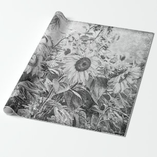 Sonnenblumenfeld Vintage Schwarz-Weiß-Decoupage Geschenkpapier