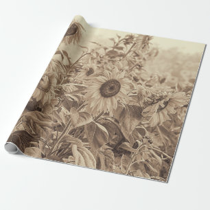 Sonnenblumenfeld Vintage-Sepia-Ton-Decoupage Geschenkpapier