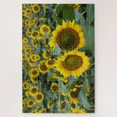 Sonnenblumenfelder - 20 x 30 Zoll Puzzle (Vertikal)