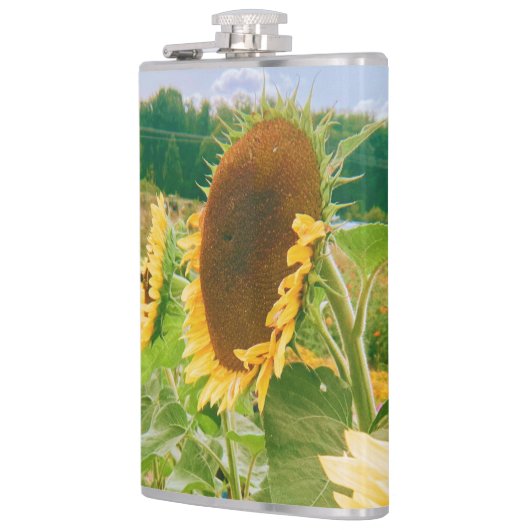 Sonnenblumenfelder Flachmann (Links)