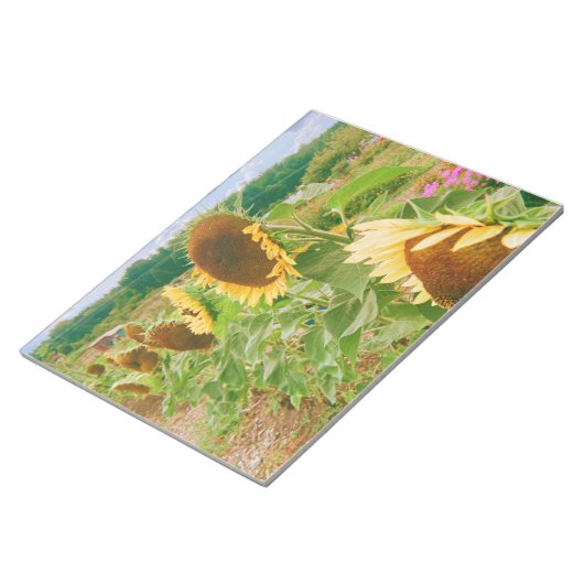 Sonnenblumenfelder Notizblock (angewinkelt)