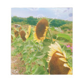 Sonnenblumenfelder Notizblock (Vorderseite)