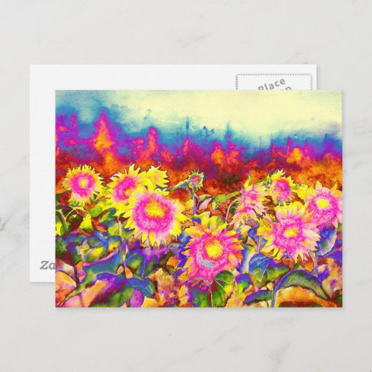 Sonnenblumenfelder Postkarte (Vorne/Hinten)