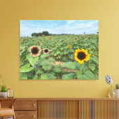 Sonnenblumenfeldfotografie Leinwanddruck (Insitu (Wohnzimmer))