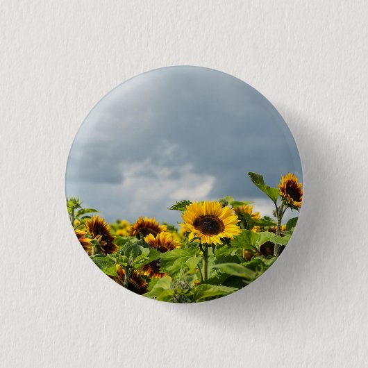 Sonnenblumenfeldmagnet Button (Vorderseite)