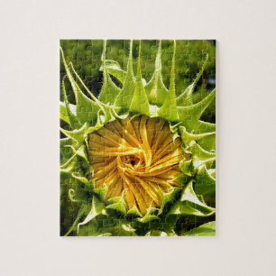 Sonnenblumenfoto Puzzle