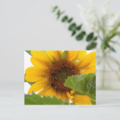 Sonnenblumenfreude Postkarte (Stehend Vorderseite)