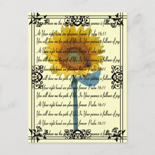 Sonnenblumenfreuden... Postkarte (Vorderseite)