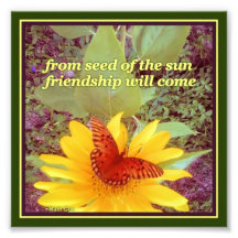 Sonnenblumenfreund Seeds