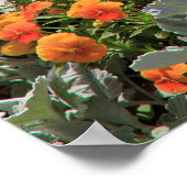 Sonnenblumengarten Poster (Ecke)