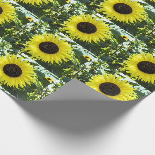 Sonnenblumengartenpapier Geschenkpapier (Ecke)