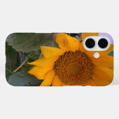 Sonnenblumengehäuse Case-Mate iPhone Hülle (Rückseite (Horizontal))