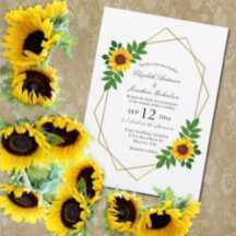 Sonnenblumengeometrie