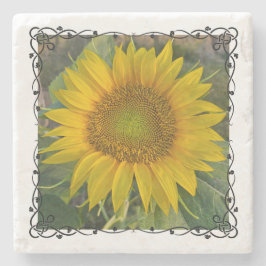 Sonnenblumengestein-Untersetzer Steinuntersetzer