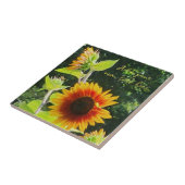 Sonnenblumenglas Fliese (Seite)