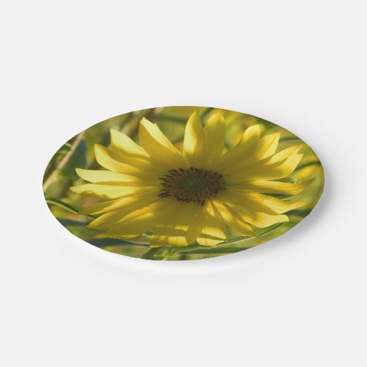 Sonnenblumenglühpapier-Teller Pappteller (Schrägansicht)