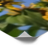 SONNENBLUMENGREETINGS ONLINE + POSTER (Ecke)