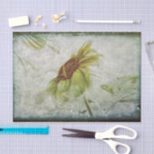 Sonnenblumengrün Grau Vintag antike Grunge Seidenpapier (Handwerk)