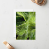 Sonnenblumenhaare hoch nah mitteilungskarte (Vorderseite/Rückseite Beispiel)