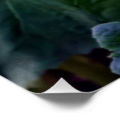 Sonnenblumenherz Ende Sommer Blume Poster (Ecke)