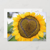 Sonnenblumenherz - Postkarte (Vorne/Hinten)