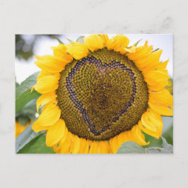 Sonnenblumenherz - Postkarte