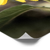 Sonnenblumenherzen in der Liebe Poster (Ecke)