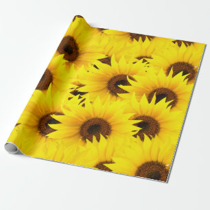 Sonnenblumenhintergrund Geschenkpapier