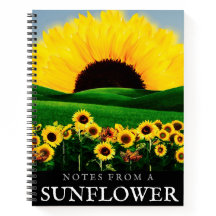 SONNENBLUMENHÜGEL