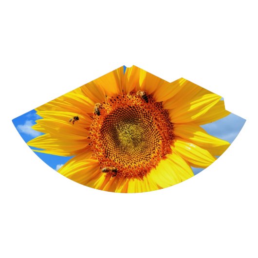 Sonnenblumenhut und Party-Hut Partyhütchen (Vorderseite)