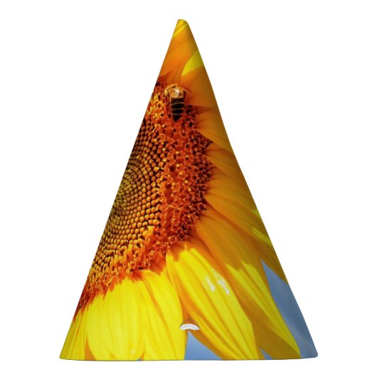 Sonnenblumenhut und Party-Hut Partyhütchen (Rechts)