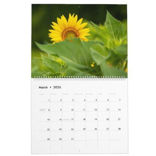 Sonnenblumenkalender Kalender (Mär 2026)