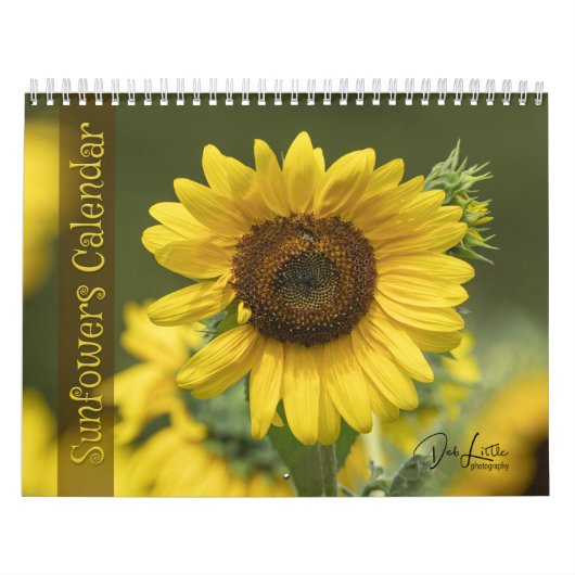 Sonnenblumenkalender Kalender (Titelbild)