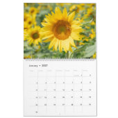 Sonnenblumenkalender Kalender (Jan 2027)