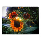 Sonnenblumenkalender - Sonnenblumen des Monats 202 Kalender (Titelbild)