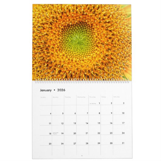 Sonnenblumenkalender - Sonnenblumen des Monats 202 Kalender (Jan 2026)