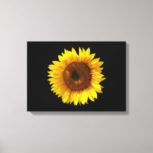 Sonnenblumenkanvas drucken leinwanddruck