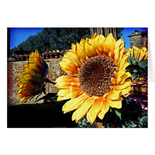 Sonnenblumenkarte (Vorderseite (Horizontal))