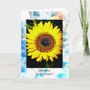 Sonnenblumenkarte, 5 Zoll x 7 Zoll geklappt Karte