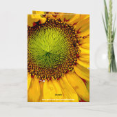 SONNENBLUMENKARTE GLEICHES FOTO FLORAL FLORAL FLOR KARTE (Rückseite)