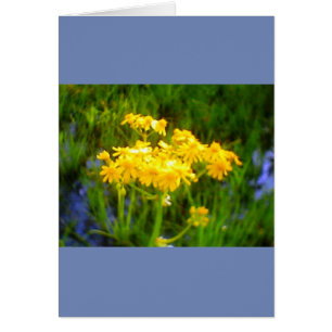 Sonnenblumenkarte Jeden Anlaß